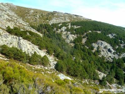 Guadarrama;Pico de la Najarra-castillo coca excursiones y senderismo embalse atazar